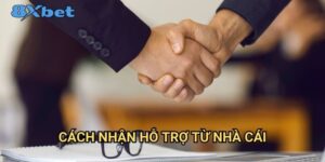 Cách nhận hỗ trợ từ nhà cái 8xbet - Giải đáp mọi thắc mắc 24/7