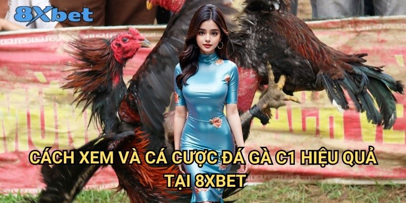 Đá gà trực tiếp C1 tại 8xbet - Giải đấu chuyên nghiệp hàng đầu 3 Cách xem và cá cược đá gà C1 hiệu quả tại 8xbet