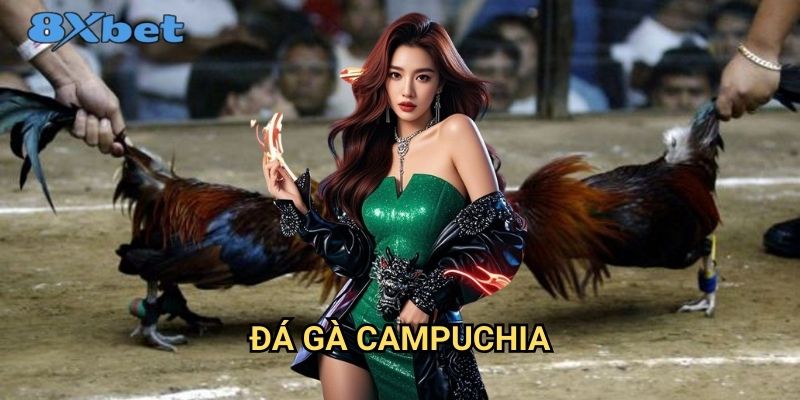 Đá gà Campuchia tại 8xbet - Trải nghiệm cá cược đẳng cấp quốc tế