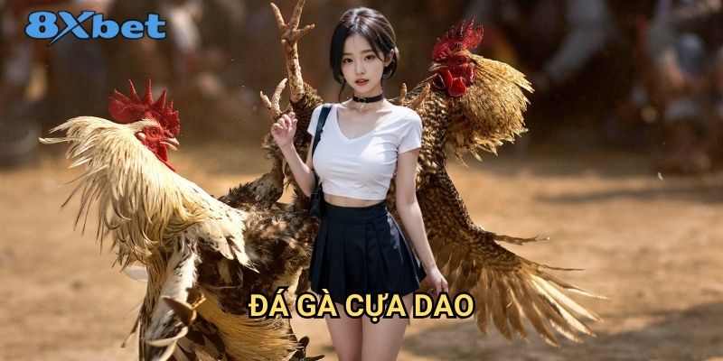 Đá gà cựa dao 8xbet - Sân chơi cá cược đỉnh cao dành cho cao thủ 1 Đá gà cựa dao 8xbet - Sân chơi cá cược đỉnh cao dành cho cao thủ