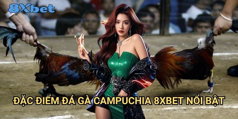 Đá gà Campuchia 8xbet - Trải nghiệm cá cược đẳng cấp quốc tế 2 Đặc điểm đá gà Campuchia 8xbet nổi bật