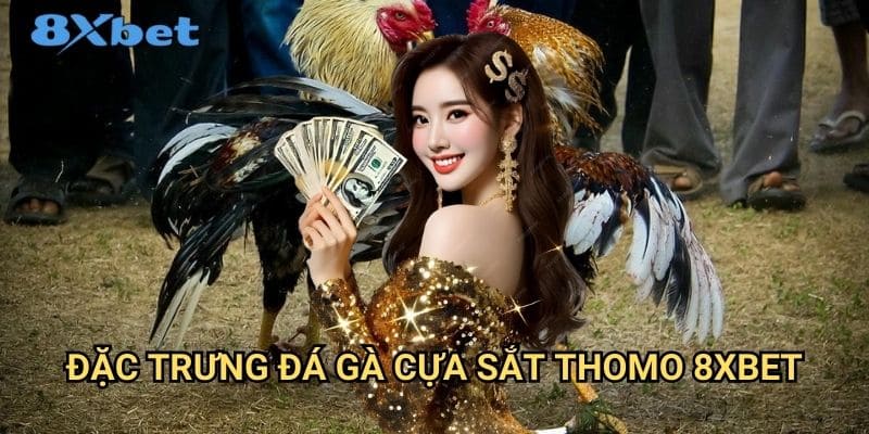Đá gà cựa sắt Thomo 8xbet - Môn cá cược truyền thống hấp dẫn 2 Đặc trưng đá gà cựa sắt Thomo 8xbet