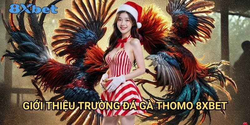 Đá gà Thomo 8xbet - Sân chơi cá cược đá gà uy tín nhất 2 Giới thiệu trường đá gà Thomo 8xbet