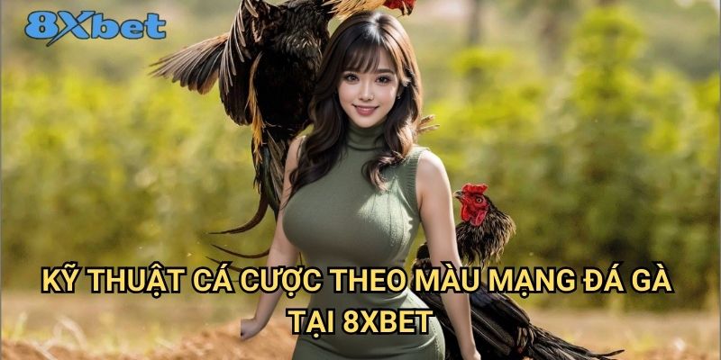 Màu mạng đá gà 8xbet - Cách đọc và phân tích chuyên sâu 3 Kỹ thuật cá cược theo màu mạng đá gà tại 8xbet