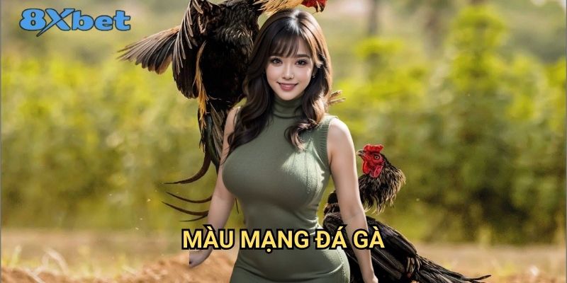 Màu mạng đá gà 8xbet - Cách đọc và phân tích chuyên sâu